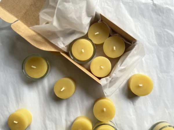 Čajna svečka iz čebeljega voska 50kos